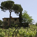 Toscane 09 - 287 - Paysages